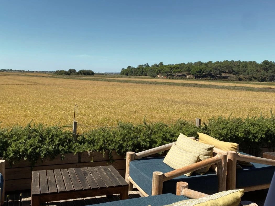 Terrace sofas over a golden field
